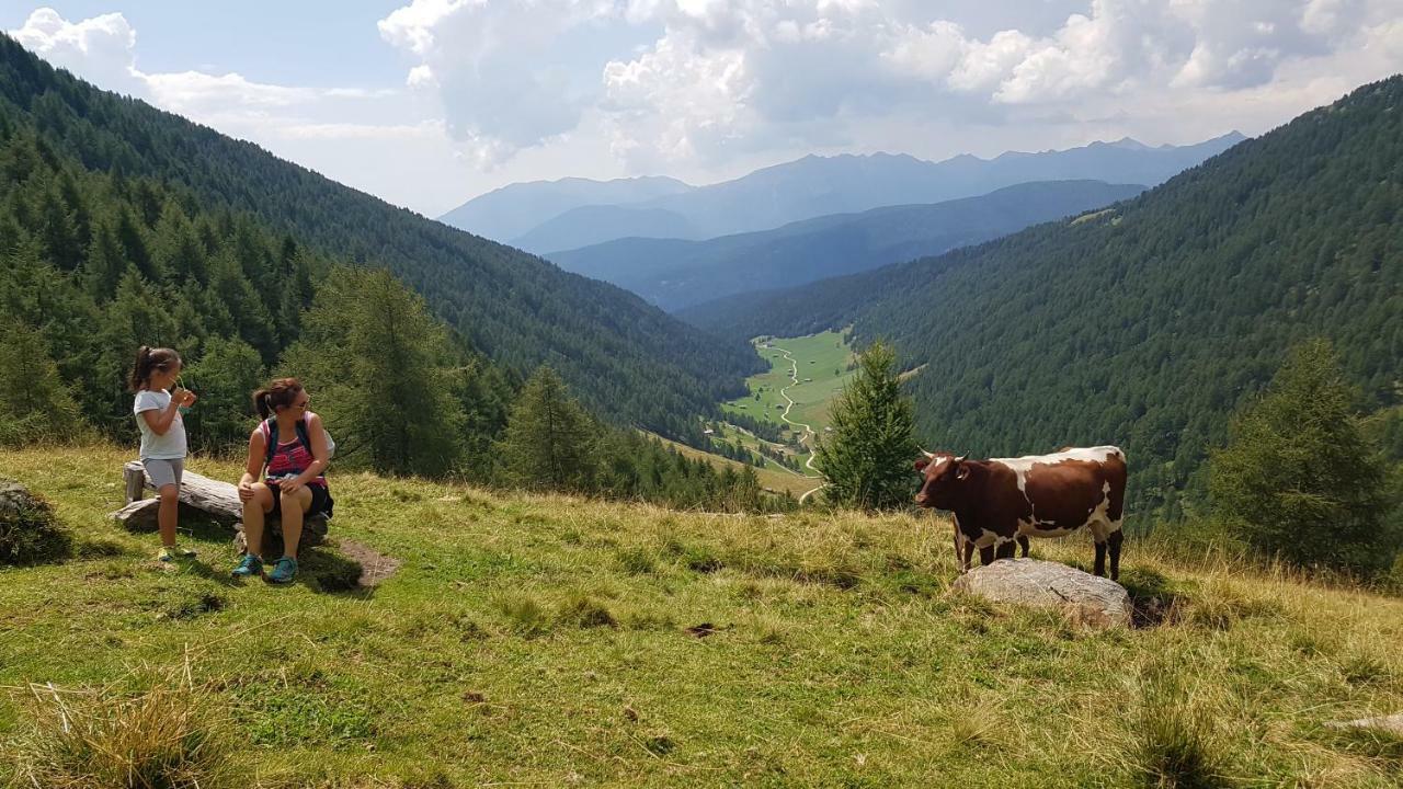 Pension Sonnenhof Маранца Екстериор снимка